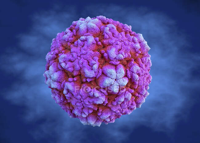 Rhinovirus, illustration. Rhinoviruses infects the upper respiratory tract and are the cause of the common cold, ear infections, sore throats and other sinus infections — Stock Photo
