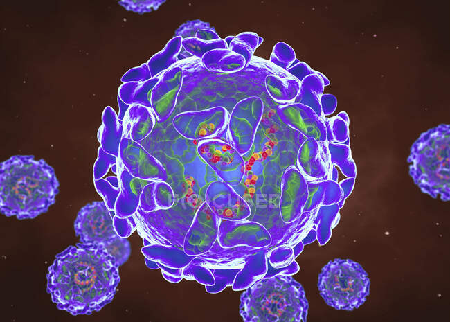 Virus Sindbis (SINV), illustration informatique — Photo de stock
