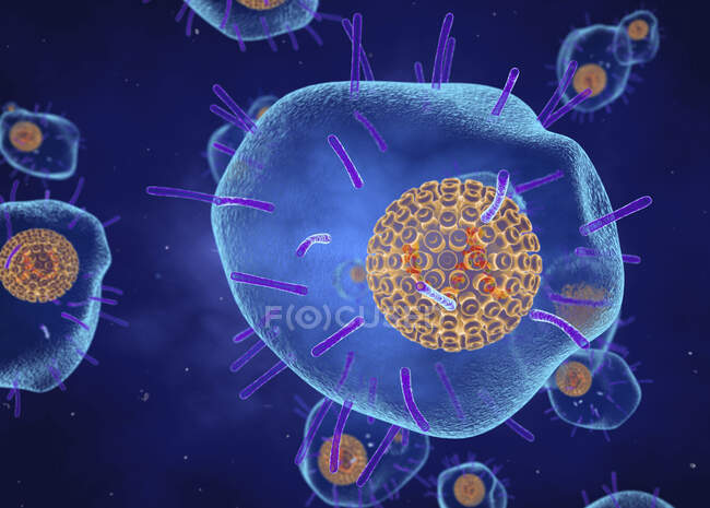 Вирус Varicella zoster (ветрянка), иллюстрация. Вирус состоит из липидной мембранной оболочки с гликопротеинами, защитного капсида, содержащего нуклеиновую кислоту. — стоковое фото