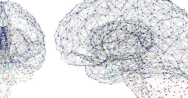 El cerebro humano representado por puntos de luz conectados por líneas, ilustración 3d . - foto de stock