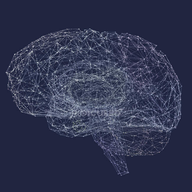 El cerebro humano representado por puntos de luz conectados por líneas, ilustración 3d . - foto de stock