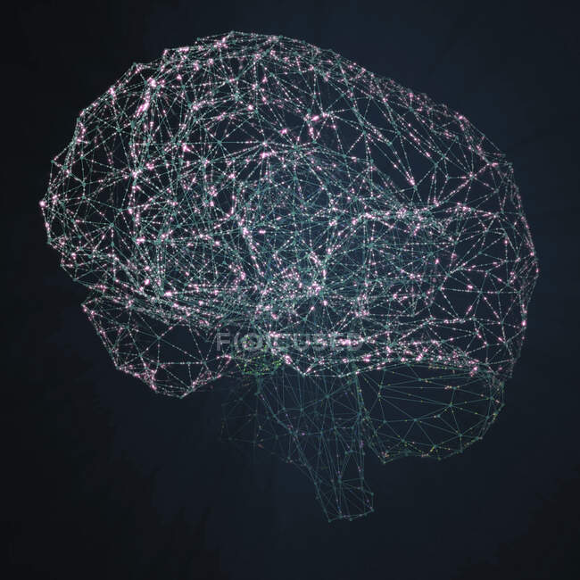 El cerebro humano representado por puntos de luz conectados por líneas, ilustración 3d
. - foto de stock