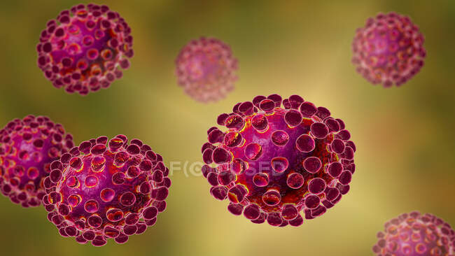 Coronavirus particles, computer illustration — Stock Photo