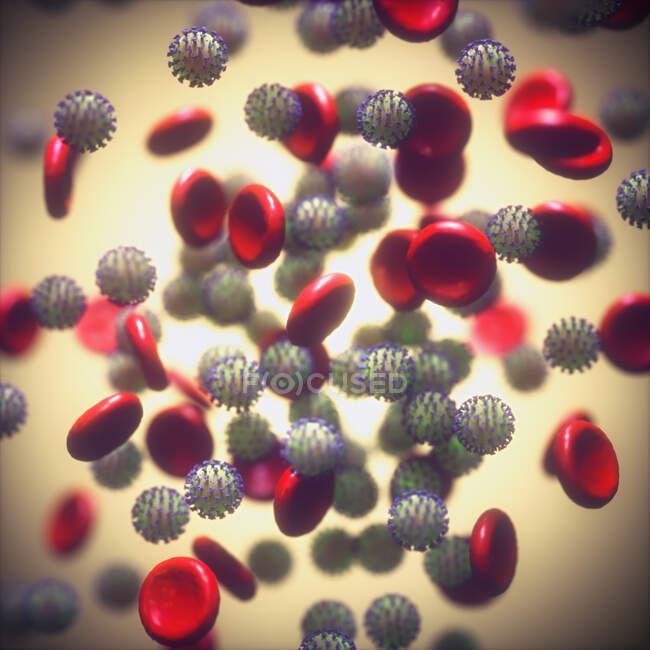 Computerillustration von Coronavirus-Partikeln im Blutkreislauf — Stockfoto