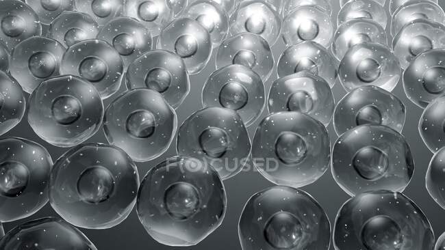 Células animales con mitocondrias, ilustración. - foto de stock