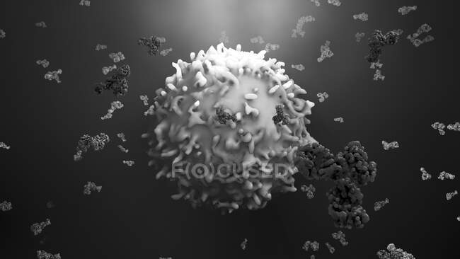 Anticorpos que atacam células cancerígenas, ilustração computacional — Fotografia de Stock