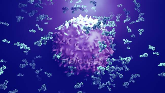 Antibodies attacking cancer cell, computer illustration — Stock Photo