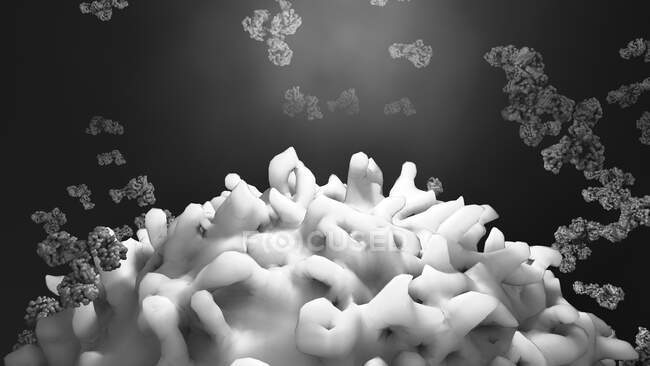 Антитіла, що атакують ракові клітини, комп'ютерна ілюстрація — стокове фото