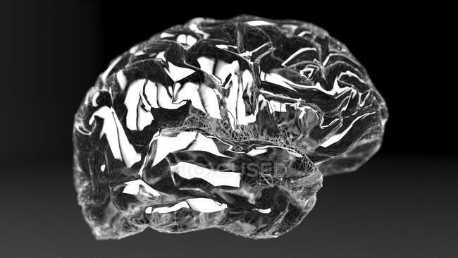 Человеческий мозг, компьютерная иллюстрация — стоковое фото