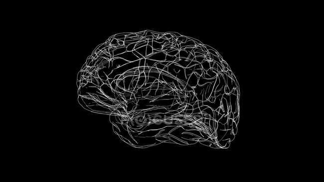 Cérebro humano, ilustração computacional — Fotografia de Stock