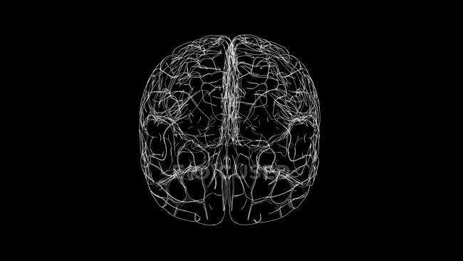 Cerebro humano, ilustración por ordenador - foto de stock