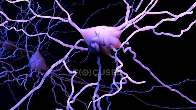 Célula nerviosa, ilustración por computadora - foto de stock