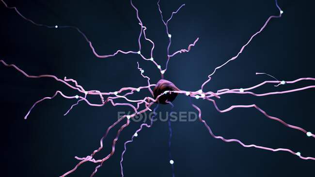 Nerve cell, computer illustration — Stock Photo