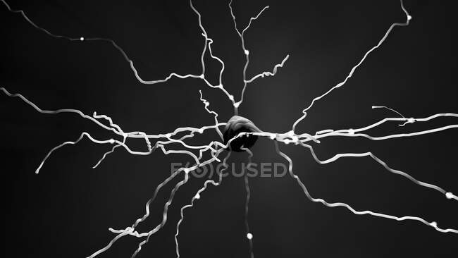 Célula nervosa, ilustração computacional — Fotografia de Stock