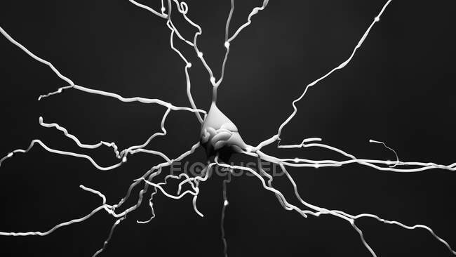 Нервные клетки, компьютерная иллюстрация — стоковое фото