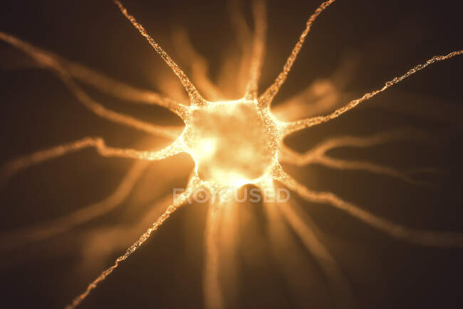 Cellule nerveuse, illustration d'ordinateur — Photo de stock