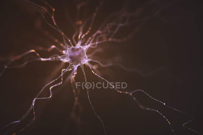 Cellula nervosa, illustrazione del computer — Foto stock