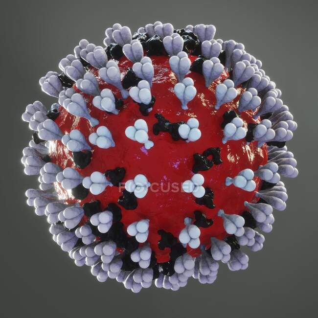 Коронавірус, комп'ютерна ілюстрація. — стокове фото