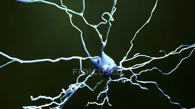 Cellula nervosa, illustrazione del computer — Foto stock
