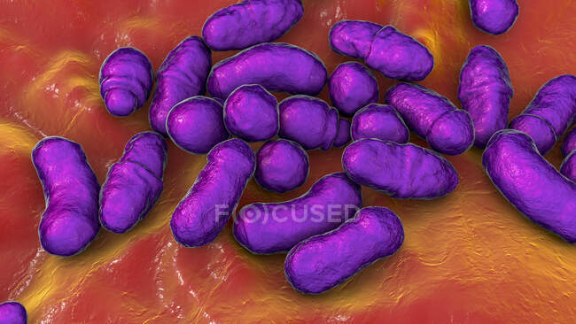 Malassezia fungo della pelle, illustrazione del computer — Foto stock