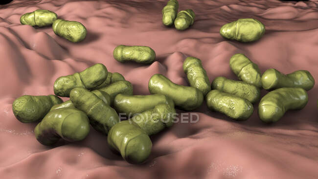 Malassezia skin fungus, computer illustration — Stock Photo