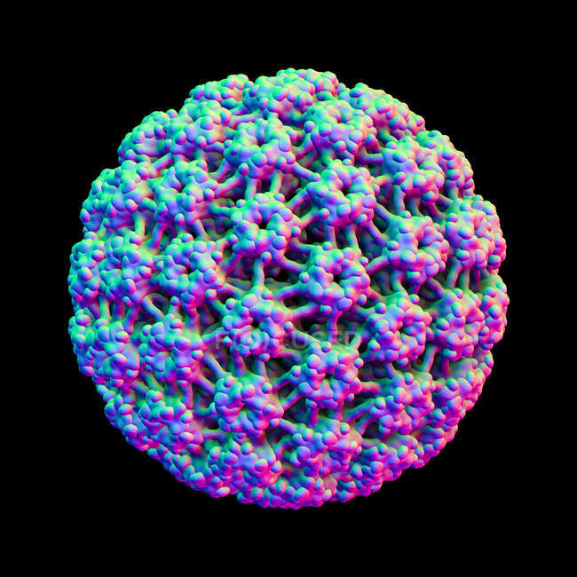 Virus du papillome humain (VPH), illustration informatique — Photo de stock