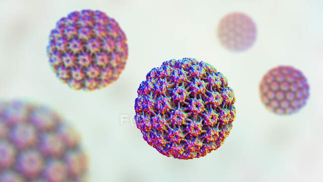 Virus du papillome humain (VPH), illustration informatique — Photo de stock