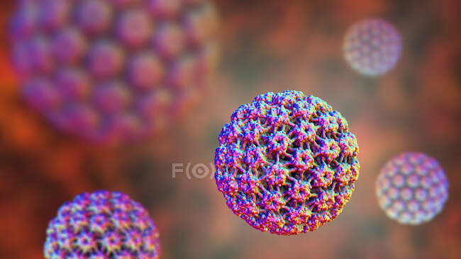 Virus del papiloma humano (VPH), ilustración por ordenador - foto de stock