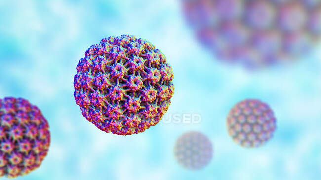 Вирус папилломы человека (ВПЧ), компьютерная иллюстрация — стоковое фото