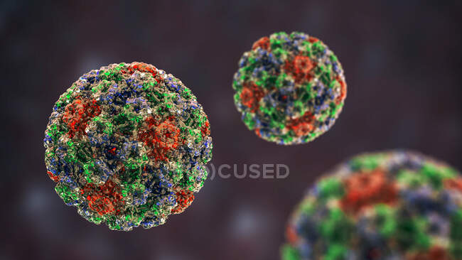 Virus del papilloma umano (HPV), illustrazione per computer — Foto stock