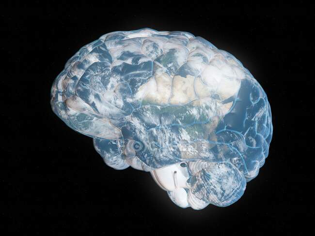 Planeta cerebral, ilustración conceptual por ordenador - foto de stock