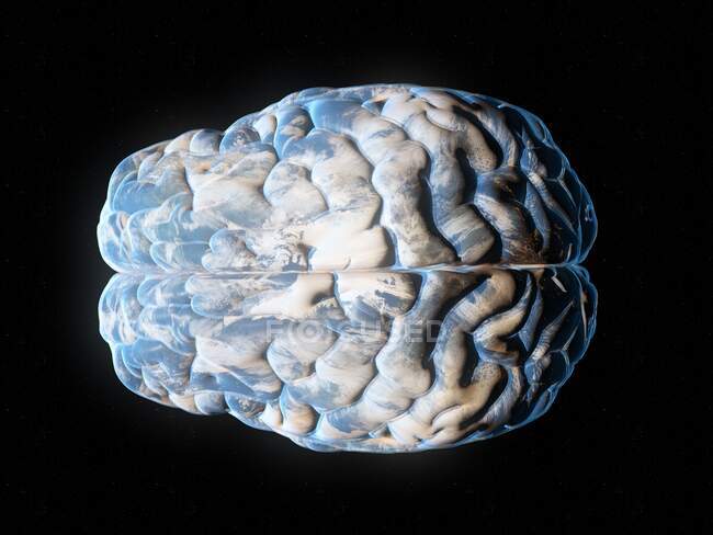 Planeta cerebral, ilustración conceptual por ordenador - foto de stock