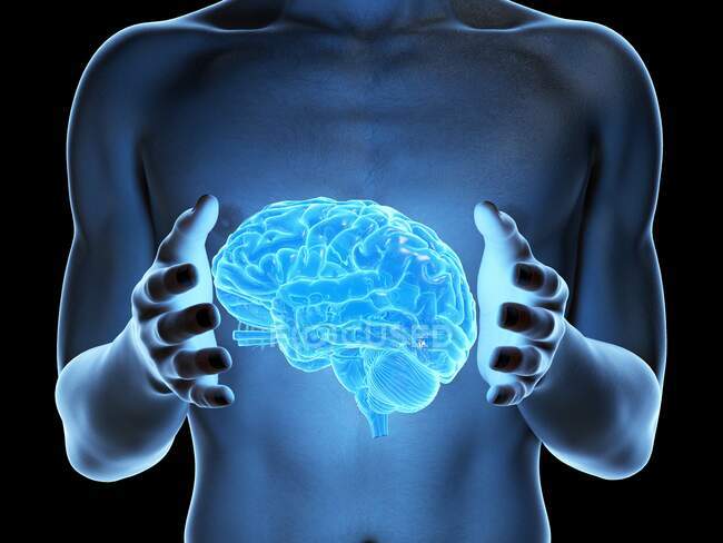 Homme tenant un cerveau, illustration d'ordinateur . — Photo de stock