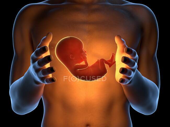 Homme tenant un fœtus, illustration informatique . — Photo de stock