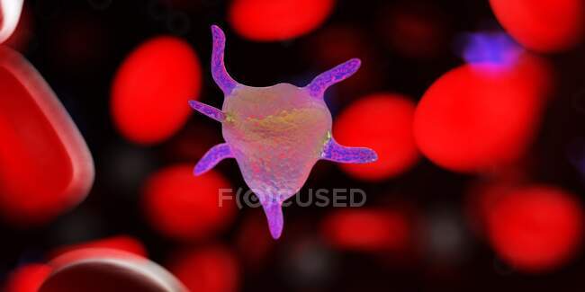 Human Platelets, комп'ютерна ілюстрація — стокове фото