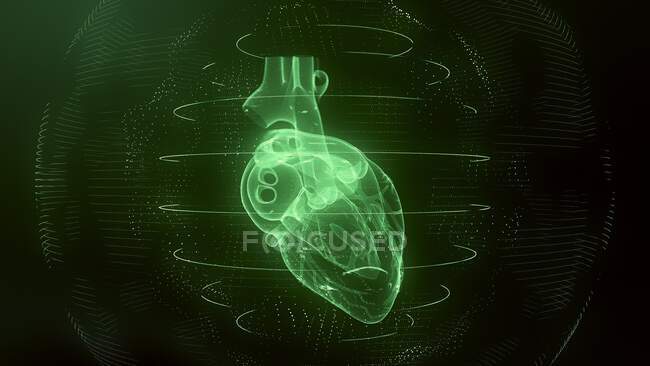 Heart scan, conceptual illustration — Stock Photo