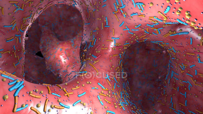 Sistema digestivo humano microbiota, ilustração 3d. — Fotografia de Stock