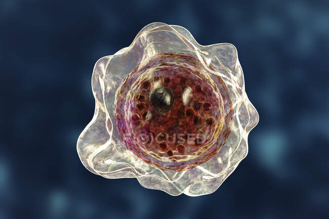 Balamuthia mandrillaris amoeba, ilustração computacional — Fotografia de Stock