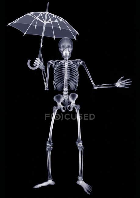Skeleton holding an open umbrella above him, X-ray. — Stock Photo