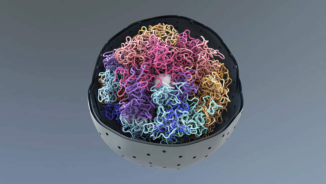 Cromatina no núcleo celular, ilustração. Cromatina é a forma condensada de DNA (ácido desoxirribonucleico) e proteínas encontradas no núcleo celular. — Fotografia de Stock