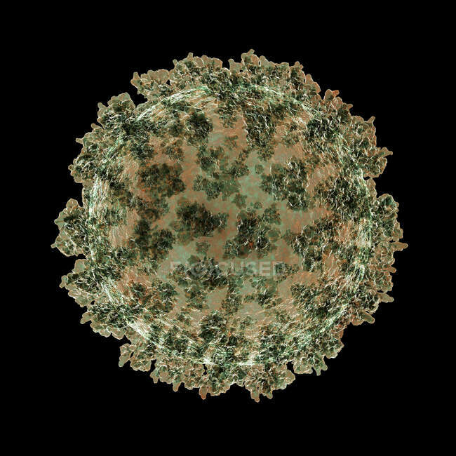 Particella di coronavirus, illustrazione del computer. Diversi ceppi di coronavirus sono responsabili di malattie come il raffreddore comune, gastroenterite e SARS (sindrome respiratoria acuta grave) — Foto stock