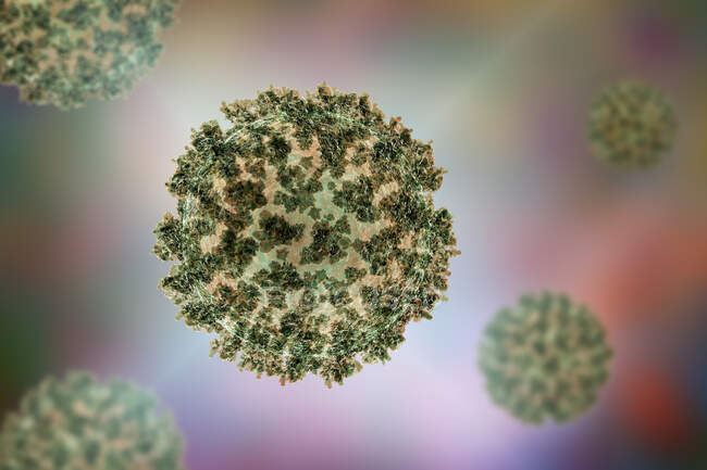 Particelle di coronavirus, illustrazione del computer. Diversi ceppi di coronavirus sono responsabili di malattie come il raffreddore comune, gastroenterite e SARS (sindrome respiratoria acuta grave) — Foto stock