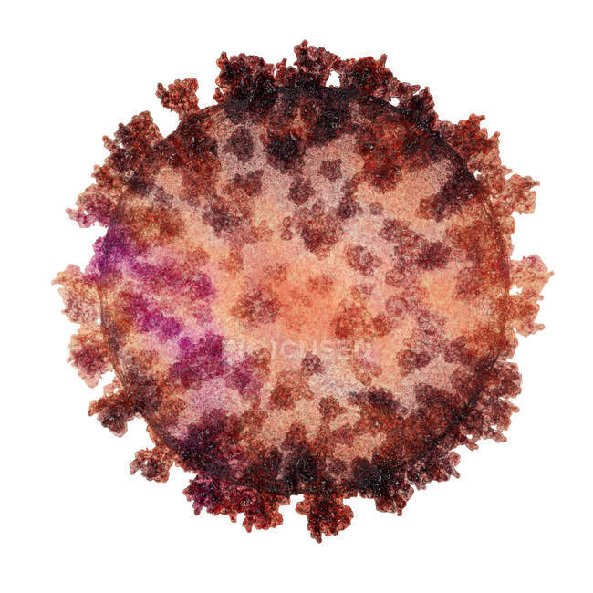 Partícula de coronavírus, ilustração computacional. Diferentes cepas de coronavírus são responsáveis por doenças como o resfriado comum, gastroenterite e SARS (síndrome respiratória aguda grave
) — Fotografia de Stock
