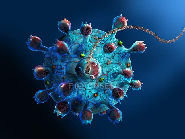 Computer illustration of coronavirus particle — Stock Photo