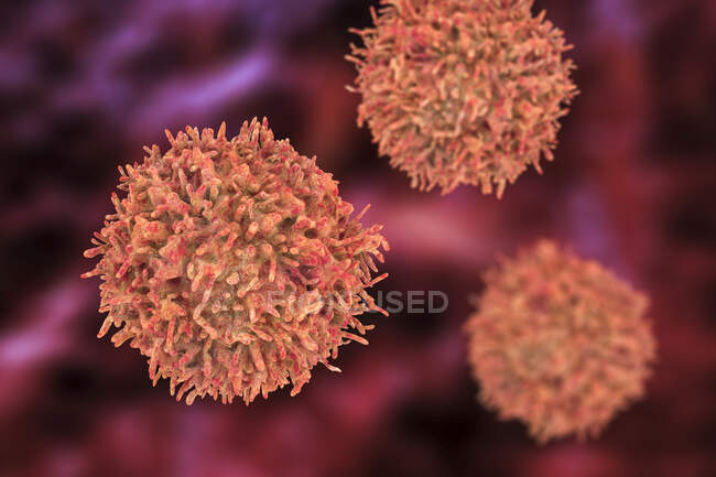 Células linfocitárias B, ilustração computacional — Fotografia de Stock