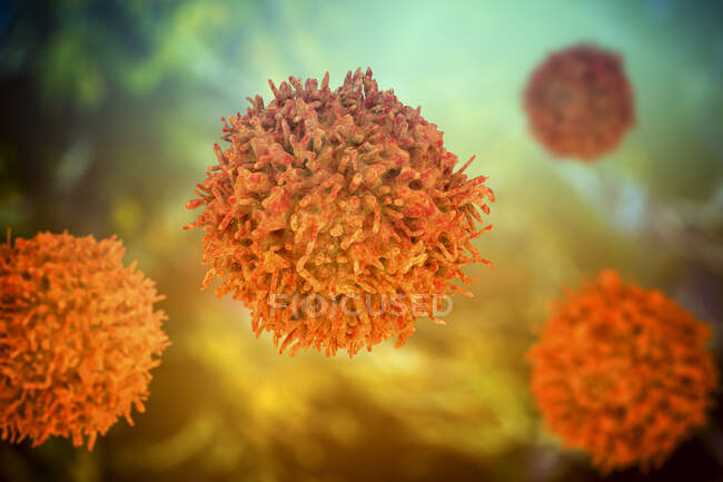 Células linfocitarias B, ilustración por ordenador - foto de stock