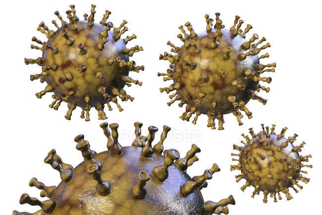 Ilustración por computadora de las partículas del virus varicela zóster, la causa de la varicela y el herpes zóster. El virus varicela zóster también se conoce como virus del herpes humano tipo 3 (HHV-3
) - foto de stock