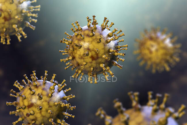Illustrazione computerizzata di particelle virali varicella zoster, causa di varicella e herpes zoster. Varicella zoster virus è noto anche come herpes virus umano di tipo 3 (HHV-3) — Foto stock