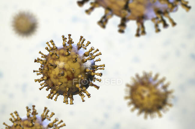 Ilustração computadorizada de partículas de vírus varicela zoster, a causa da varicela e telhas. O vírus da varicela zoster também é conhecido como vírus do herpes humano tipo 3 (HHV-3 ) — Fotografia de Stock