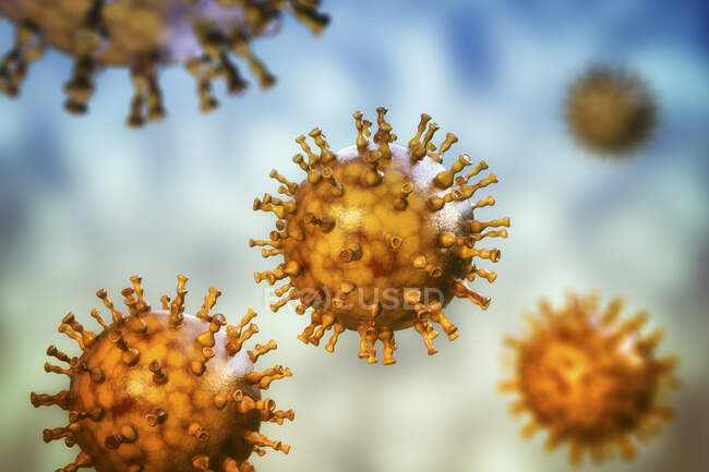 Комп'ютерна ілюстрація частинок вірусу вітряної віспи, причина вітряної віспи та черепиці. Вірус вітряної віспи також відомий як вірус герпесу людини 3 типу (HHV-3 ) — стокове фото